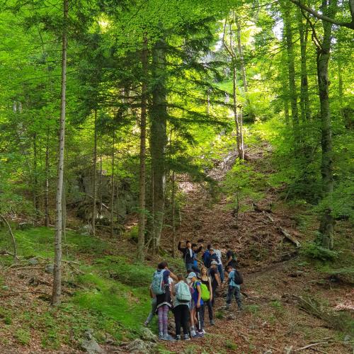 wandertag-2af-8