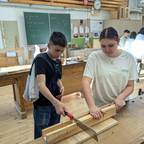 2024-TFBS Holz-5
