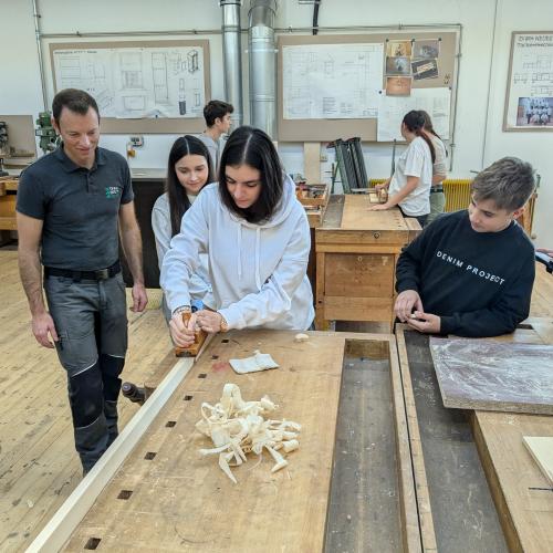 2024-TFBS Holz-4