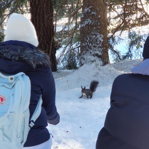 2025-3af-Wintersporttag-9