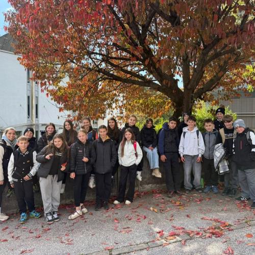 2025-Waldtag-2af-1
