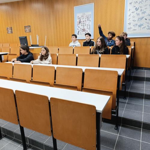 Das Bild zeigt Schüler*innen während der Führung