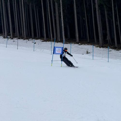 Bild zeigt einen Rennläufer