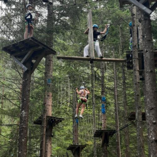 Das Foto zeigt Schülerinnen und Schüler im Hochseilgarten