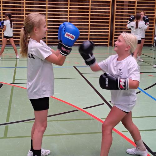 Das Foto zeigt Schülerinnen der 1af und 2af beim Boxtraining