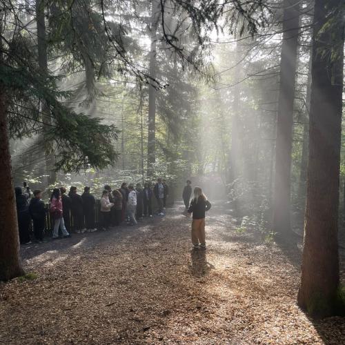 Das Bild zeigt die Klasse im Wald